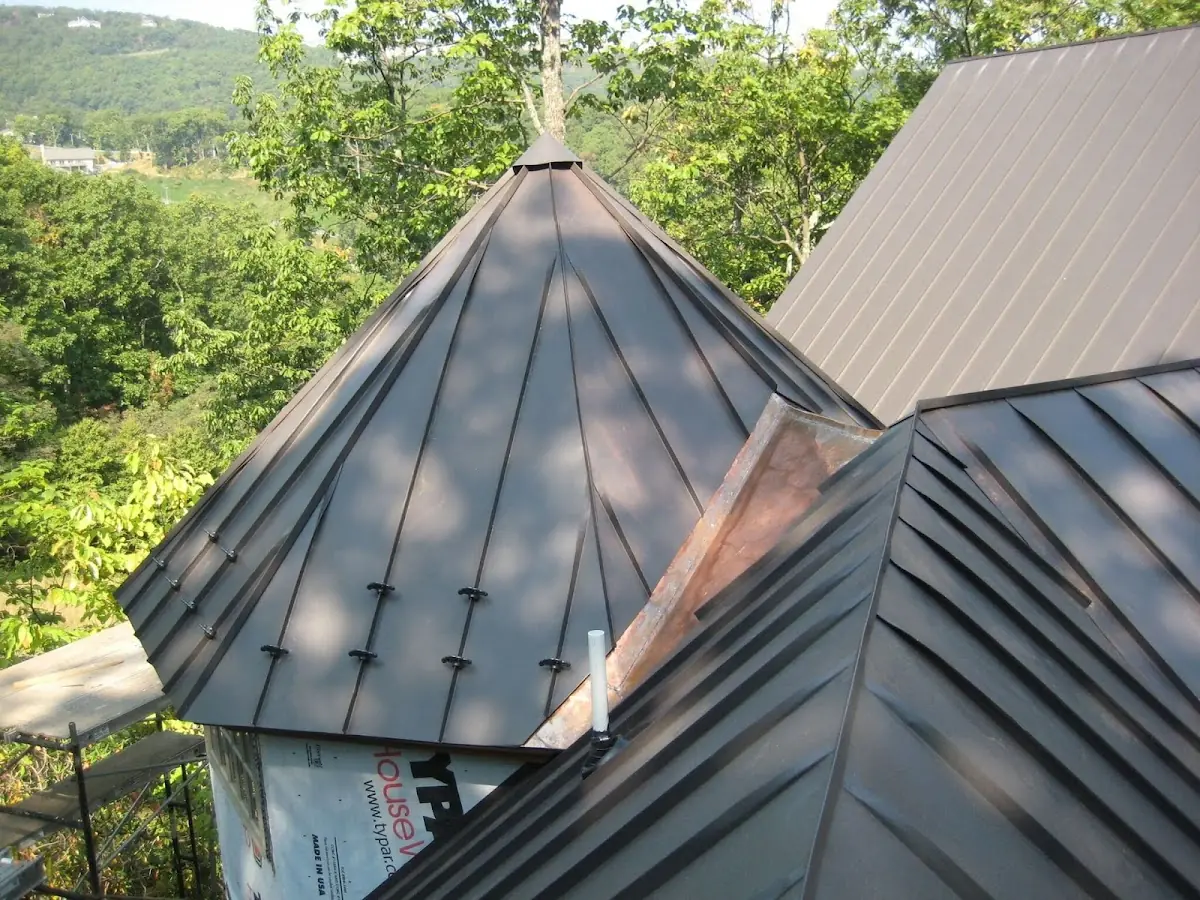 Professional Gutter Cleaning by Craftsman Roofing in South Laguna Hills